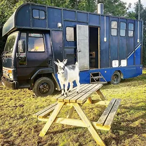 Luxury tent North Yorkshire Horse Box, York